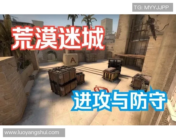 CSGO战术分析：深入探讨LNG在区域防守中的策略与执行