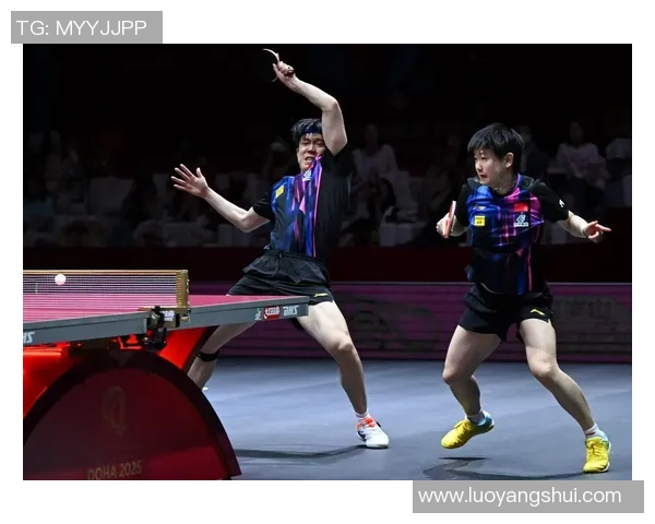 成都乒乓球队的节奏与发展探索聚焦乒乓球的魅力与未来