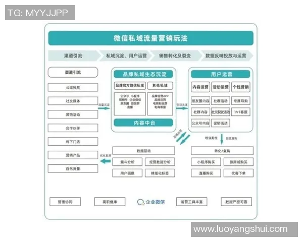 深度分析V5战队的运营策略与战术布局全景解读