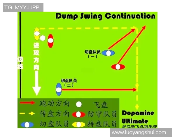 重庆飞盘队个人能力表现数据分析与战术优化研究